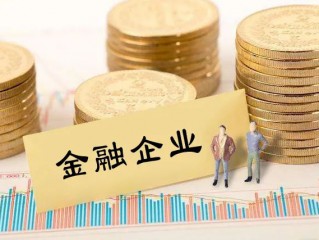 中共中央 国务院关于完善国有金融资本管理的指导意见