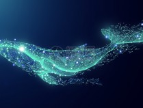 人力资源社会保障部办公厅关于印发《国有企业科技人才薪酬分配指引》的通知